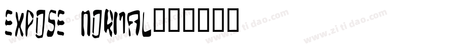 Expose Normal字体转换